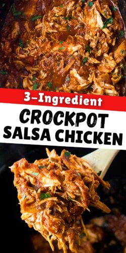 3-ingredient crockpot salsa chicken.