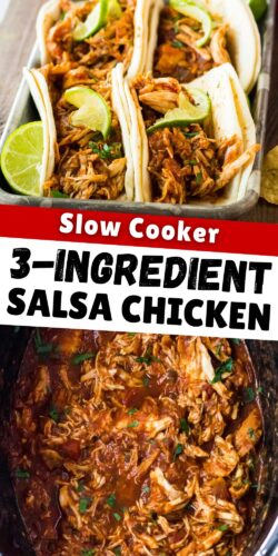 Slow Cooker 3-Ingredient salsa Chicken.