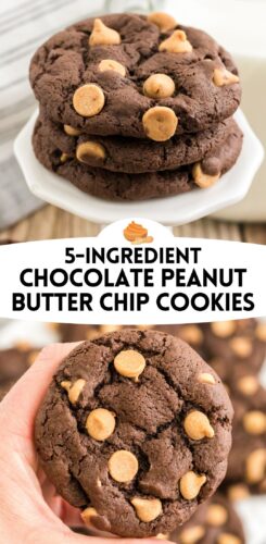 5 ingredient chocolate peanut butter chip cookies pin.