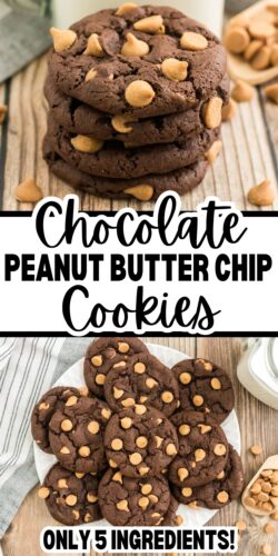 Chocolate Peanut Butter Chip Cookies Pin.