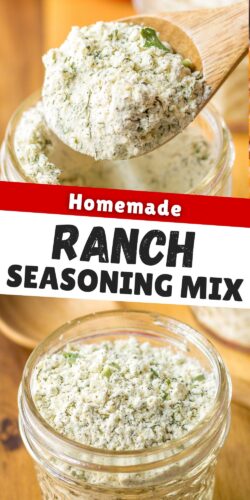 Homemade Ranch Seasoning Mix Pin.