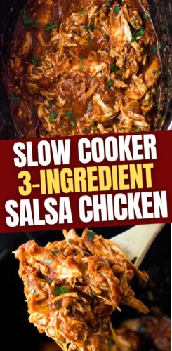 Slow Cooker 3 Ingredient Salsa Chicken Pin.