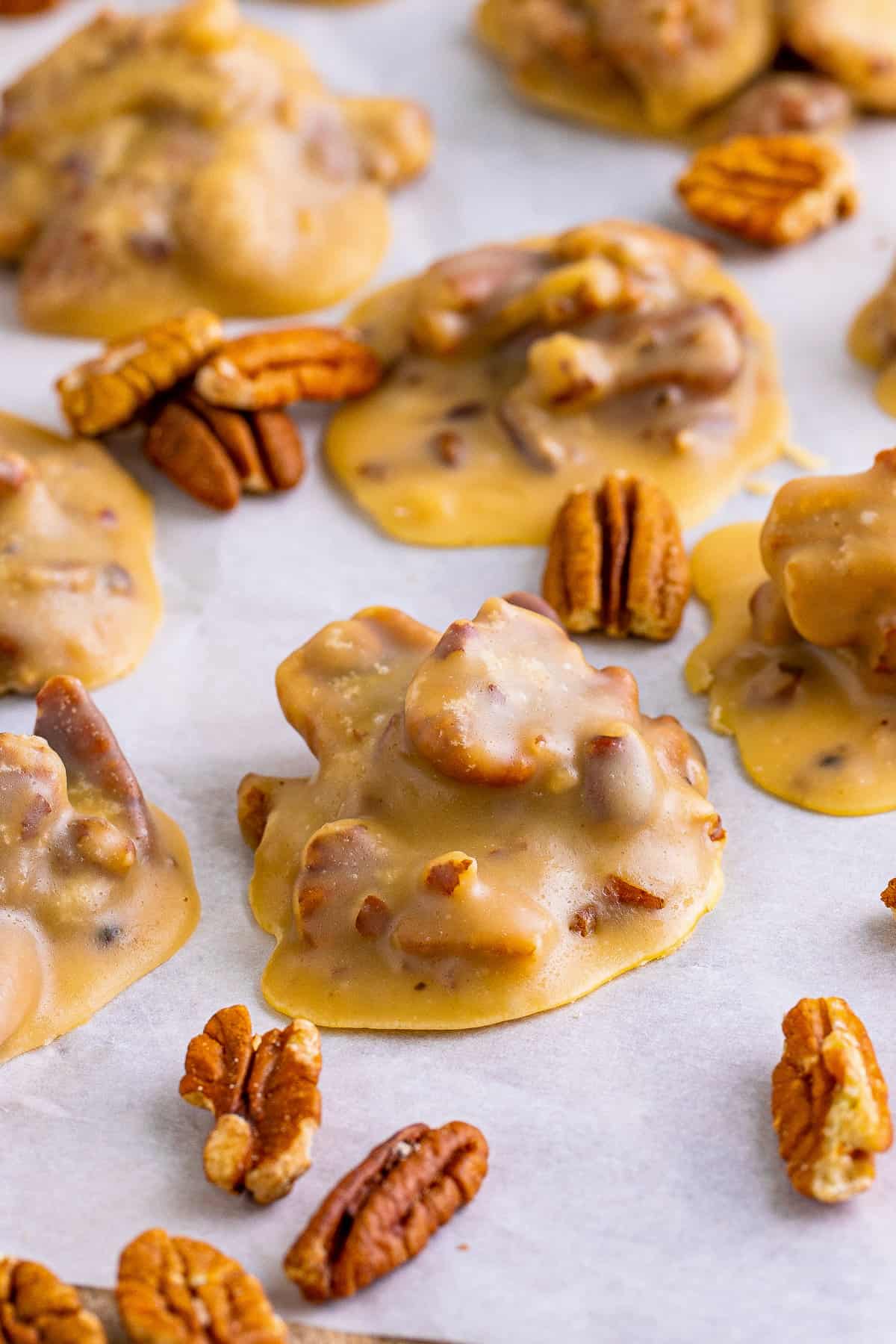 Southern pecan pralines on parchment paper with pieces of pecans around them.