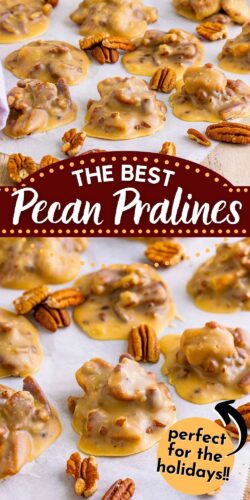 The Best Pecan Pralines - pin image.