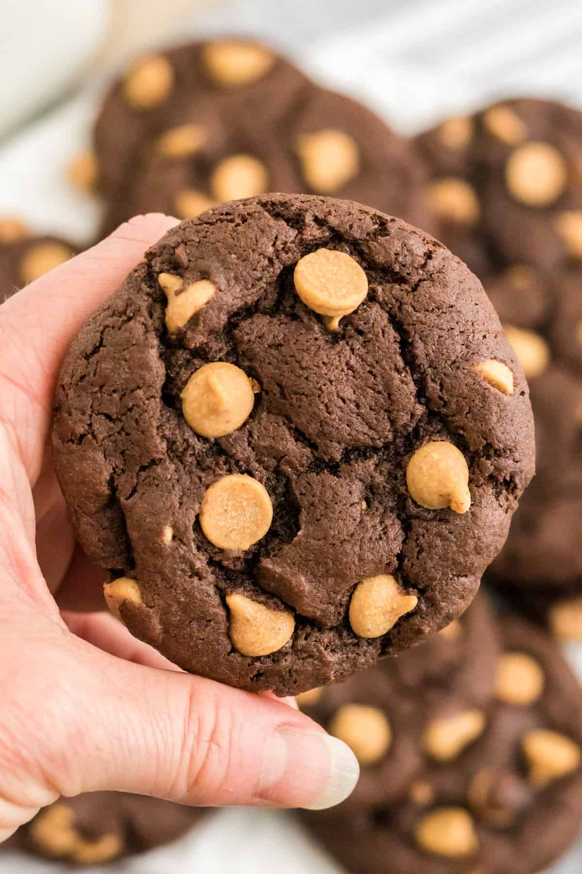 Hand holding Chocolate Peanut Butter Chip Cake Mix Cookie.