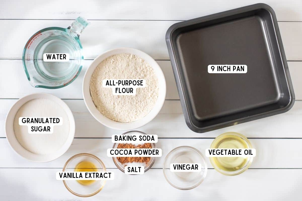 Flour, cocoa, sugar, water, oil, vanilla, vinegar, salt, baking soda, and square pan.