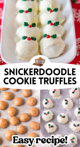 Snickerdoodle Cookie Truffles - easy recipe pin.