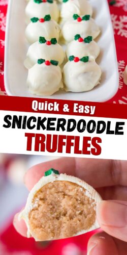 Quick and easy snickerdoodle truffles pin.
