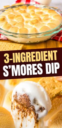 3-ingredient s'mores dip pin.
