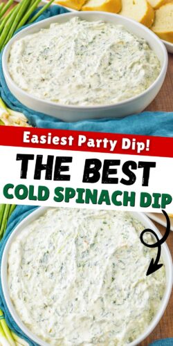 Pinterest pin. Reads: The best cold spinach dip: the easiest party dip!
