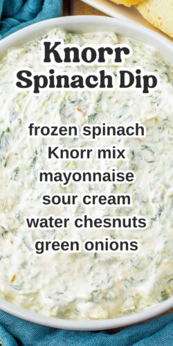 Knorr Spinach Dip Pin with ingredients listed.