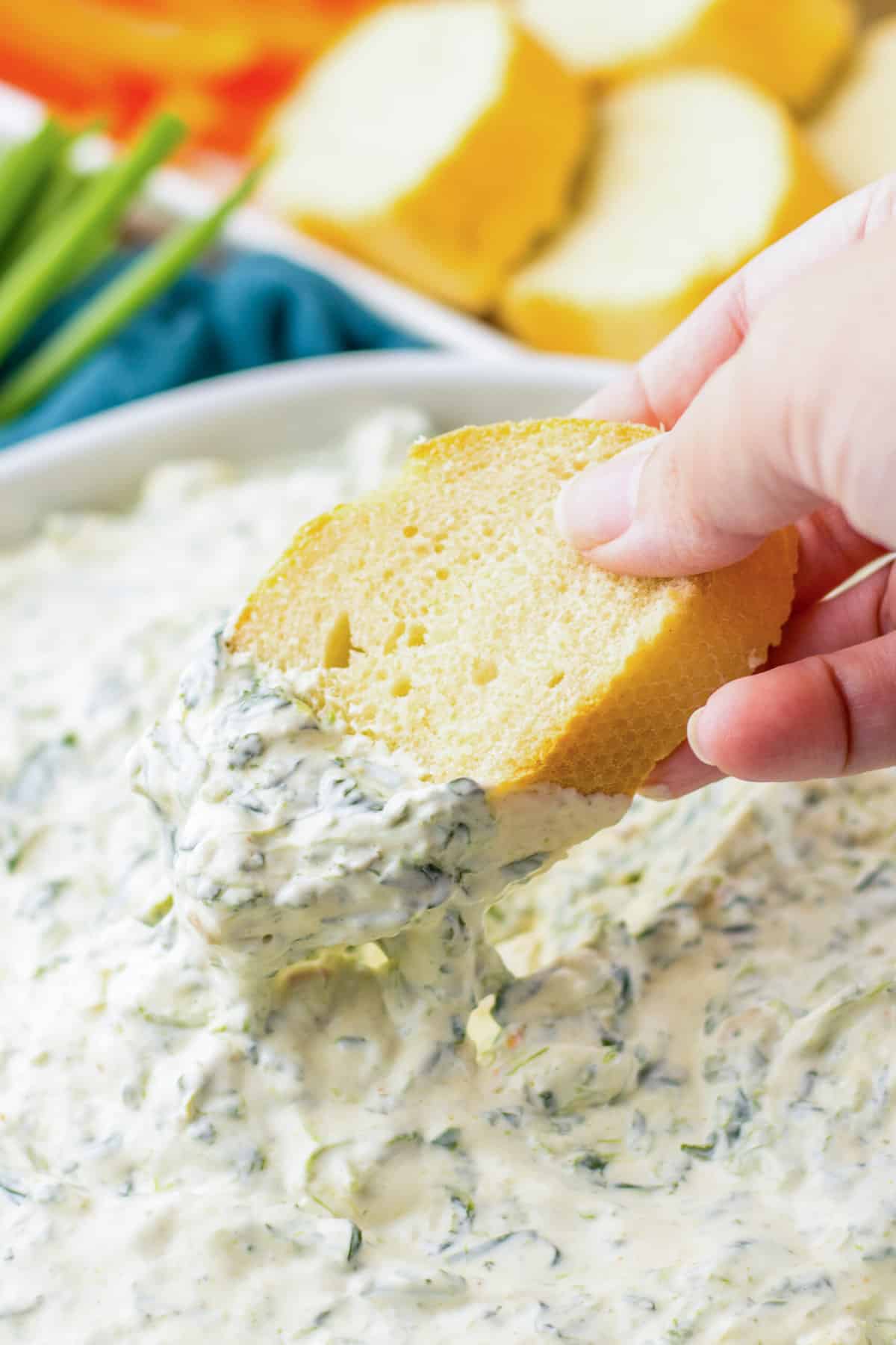 Piece of bread being dipped in cold spinach dip.