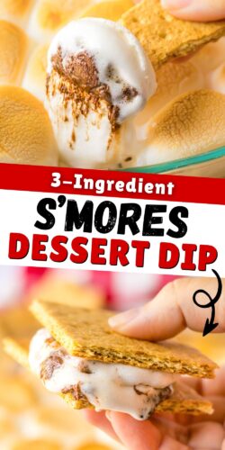 3-ingredient S'mores dessert dip pin.