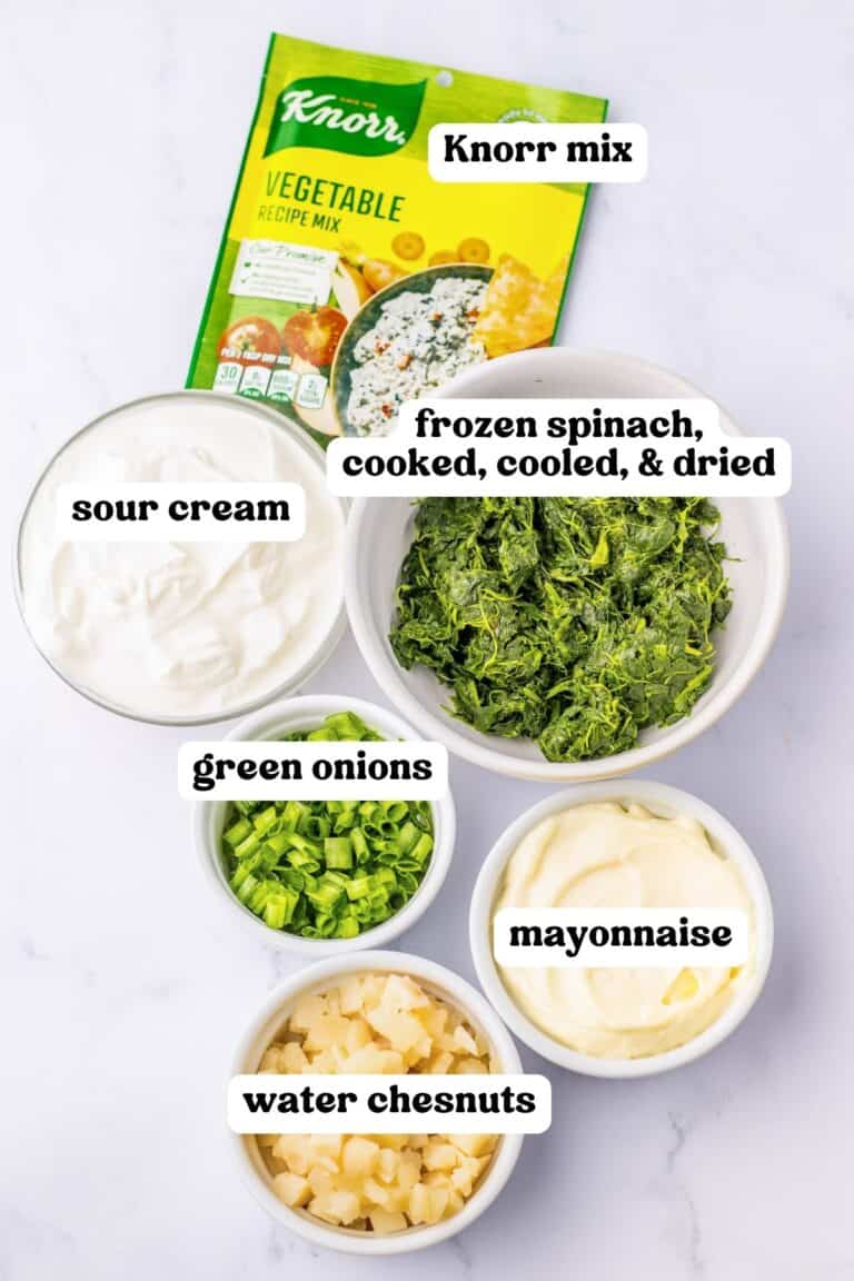 Classic Knorr Spinach Dip Recipe