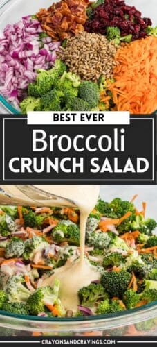 A collage pin showing salad ingredients and dressing, labeled "Best Ever Broccoli Crunch Salad."