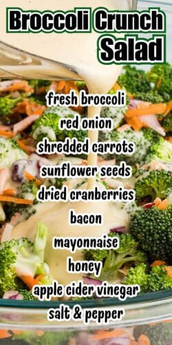 A close-up of broccoli crunch salad with creamy dressing poured on top, overlaid with a list of ingredients: fresh broccoli, red onion, shredded carrots, sunflower seeds, dried cranberries, bacon, mayonnaise, honey, apple cider vinegar, salt, and pepper.