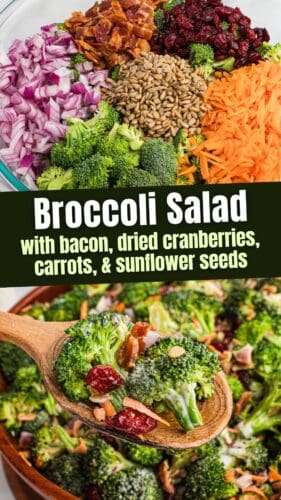 A two-part collage. The top shows a glass bowl with broccoli, bacon, dried cranberries, shredded carrots, sunflower seeds, and chopped red onions. The bottom shows a wooden spoon holding a serving of the finished salad. The text reads: "Broccoli Salad with bacon, dried cranberries, carrots, & sunflower seeds."