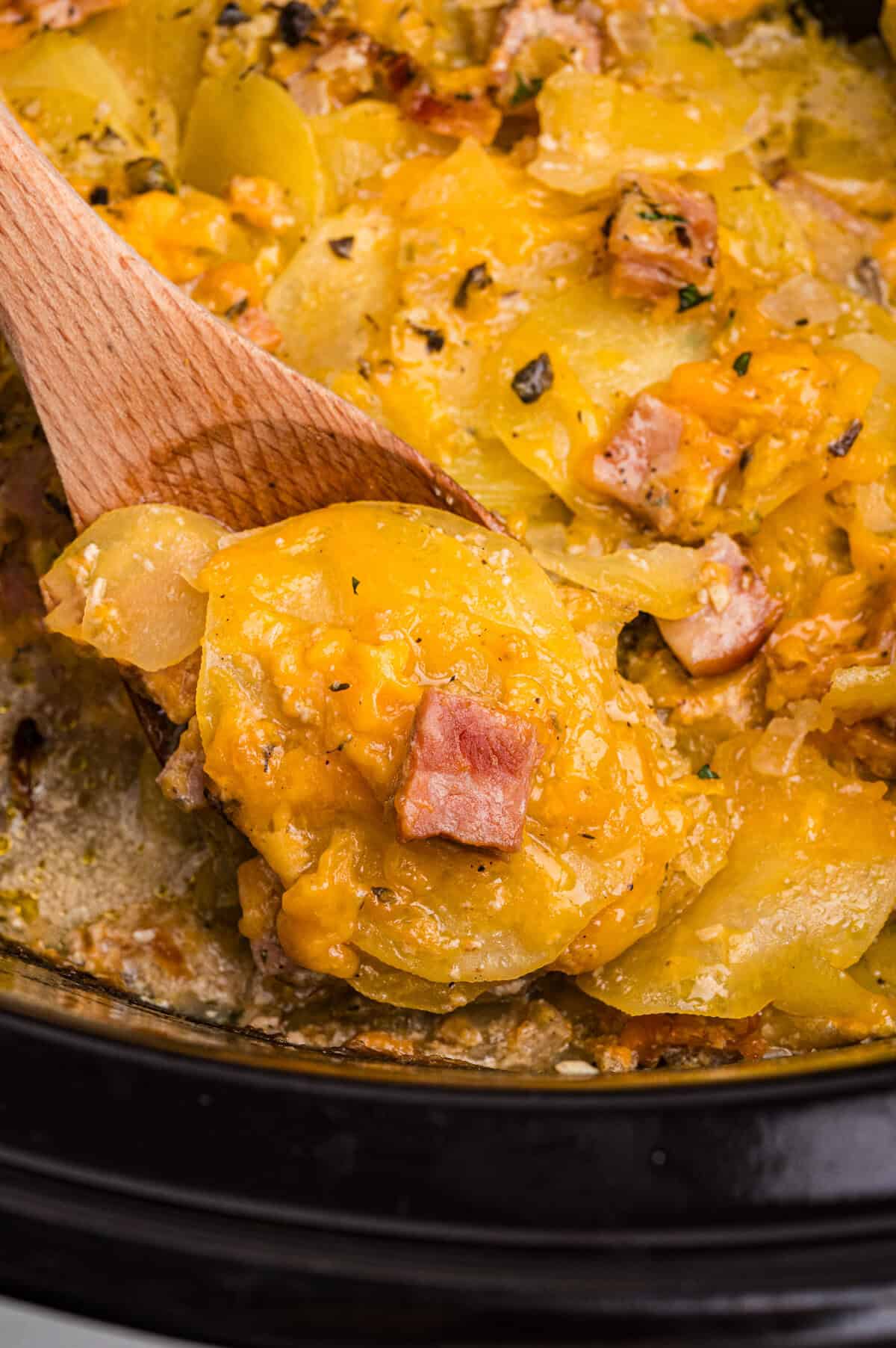 A spoon lifting a portion of cheesy scalloped potatoes and ham from a slow cooker, showing layers of tender potatoes, creamy cheese sauce, and browned ham.