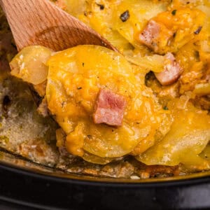 A spoonful of scalloped potatoes and ham being scooped from the slow cooker.