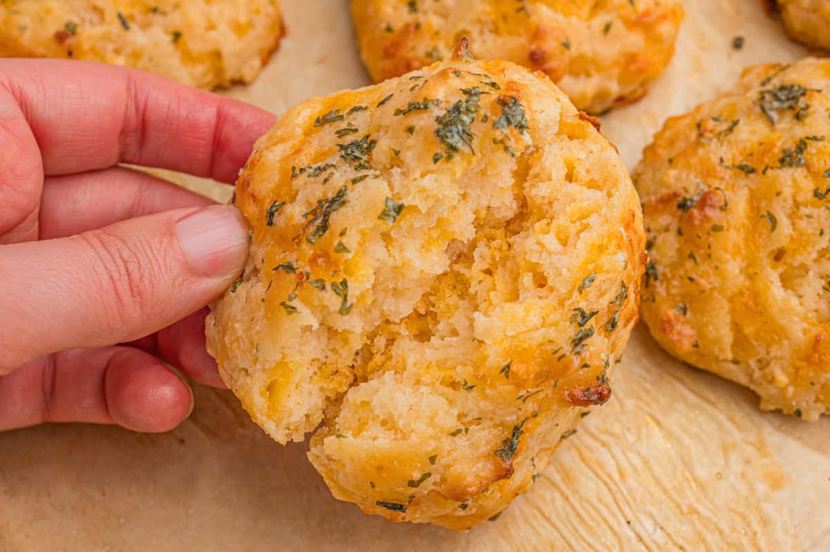 A hand holds a broken cheddar drop biscuit, revealing a soft, fluffy interior with visible cheddar cheese.