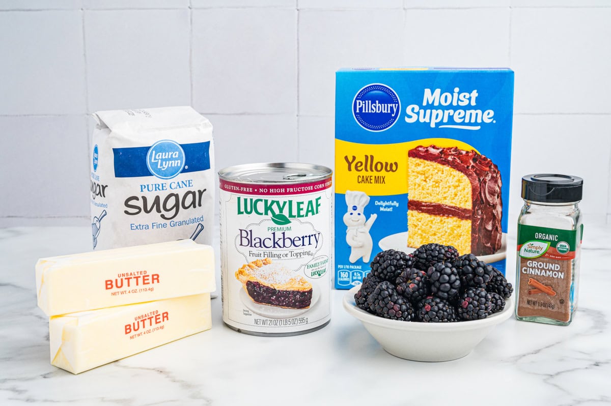 A display of blackberry dump cake ingredients including sugar, yellow cake mix, canned blackberry filling, fresh blackberries, ground cinnamon, and two sticks of butter.