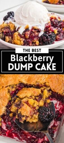 Collage pin with two images: one of a plated serving of blackberry dump cake with ice cream, and one of a spoon lifting cake from a dish. Text reads "The Best Blackberry Dump Cake."
