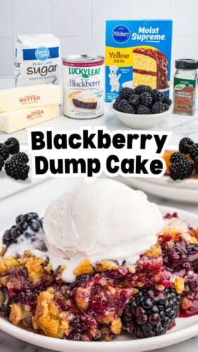 Collage pin with top image of ingredients and bottom image of a serving of blackberry dump cake topped with ice cream. Text reads "Blackberry Dump Cake."