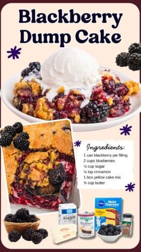 Collage pin featuring a bowl of blackberry dump cake with ice cream, a spoonful from the baking dish, and listed ingredients. Text reads "Blackberry Dump Cake." Recipe lists: 1 can blackberry pie filling, 2 cups blueberries, ½ cup sugar, ¼ tsp cinnamon, 1 box yellow cake mix, ¾ cup butter.