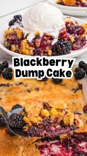 Collage pin showing a scoop of blackberry dump cake and a plated serving with ice cream.