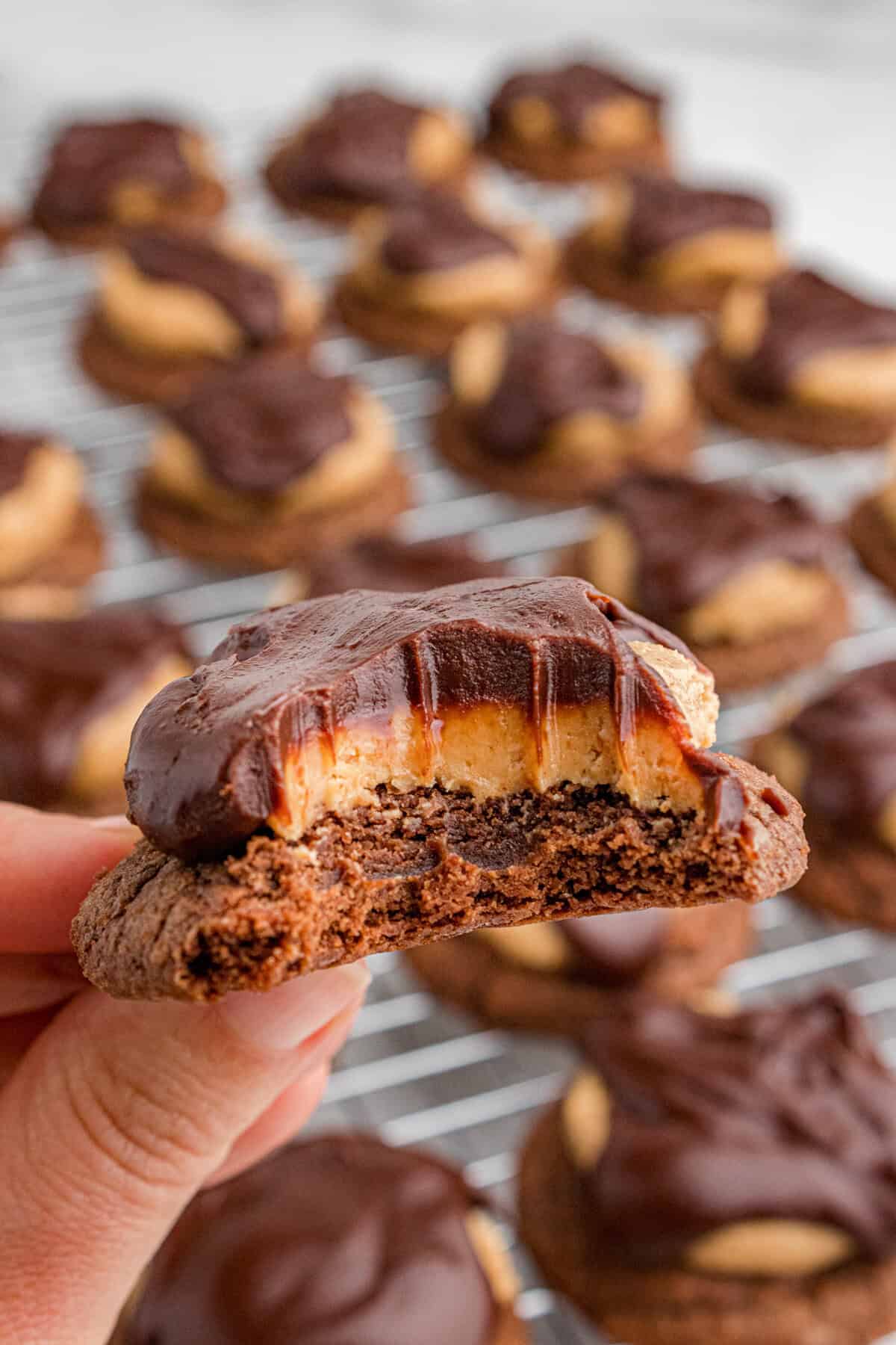 A hand holding a buckeye cookie with a bite taken out.