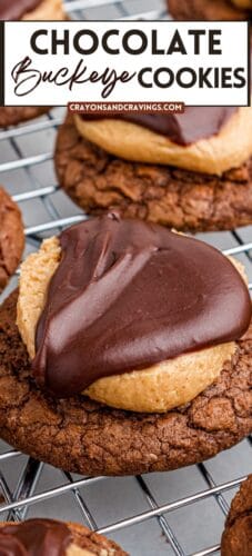 Pin with close-up of a buckeye cookie on a cooling rack, text reading “Chocolate Buckeye Cookies” and website “crayonsandcravings.com” across the top.