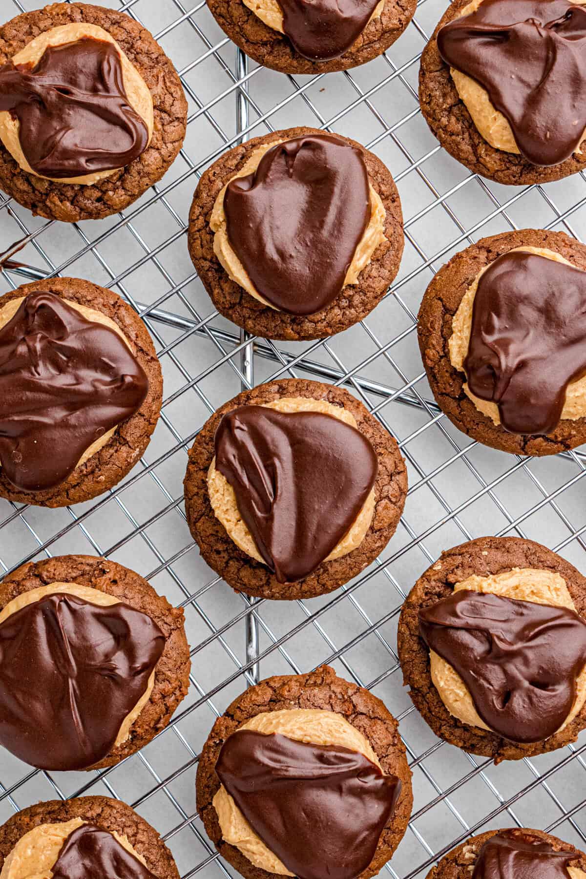 Buckeye cookies on a metal cooling rack, showing the chocolate cookie bases topped with peanut butter and glossy chocolate ganache.