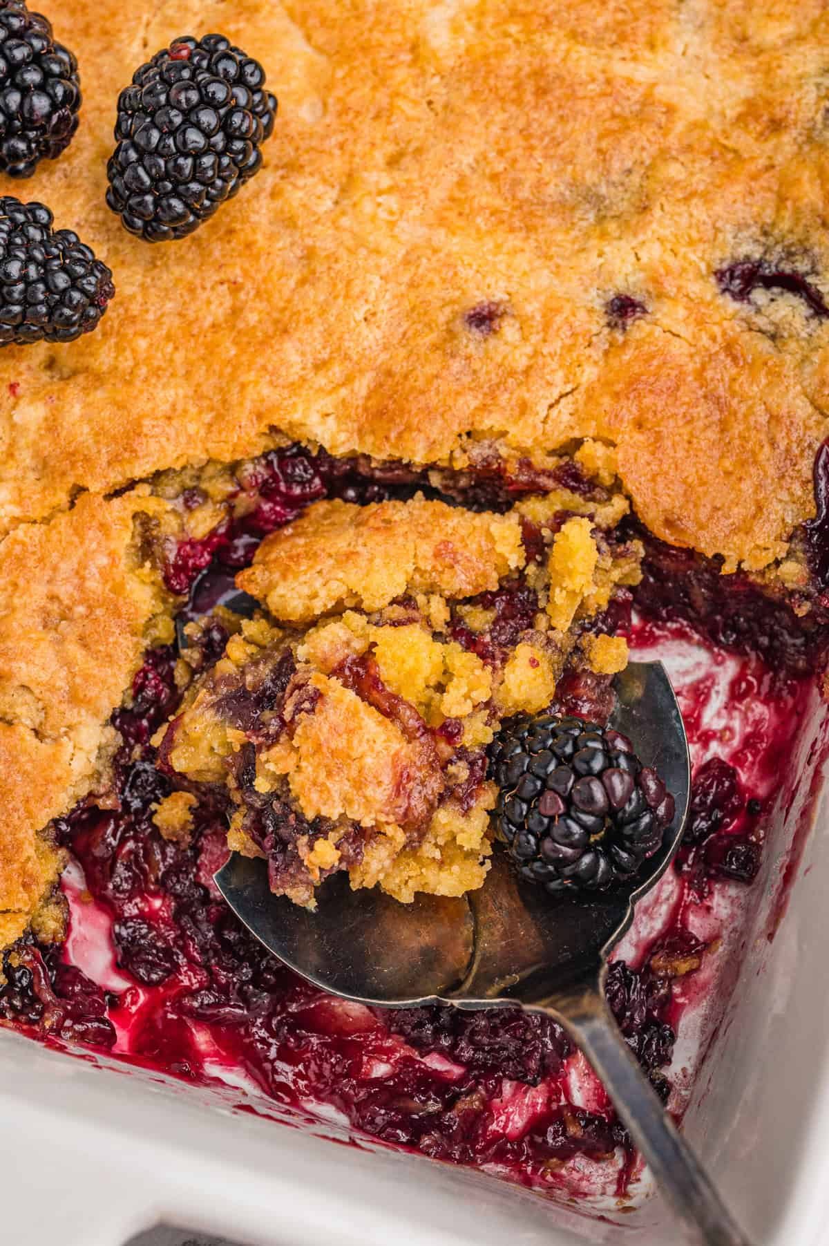 A serving spoon lifting a portion of blackberry dump cake from a baking dish, showing golden-brown topping and a juicy blackberry filling.