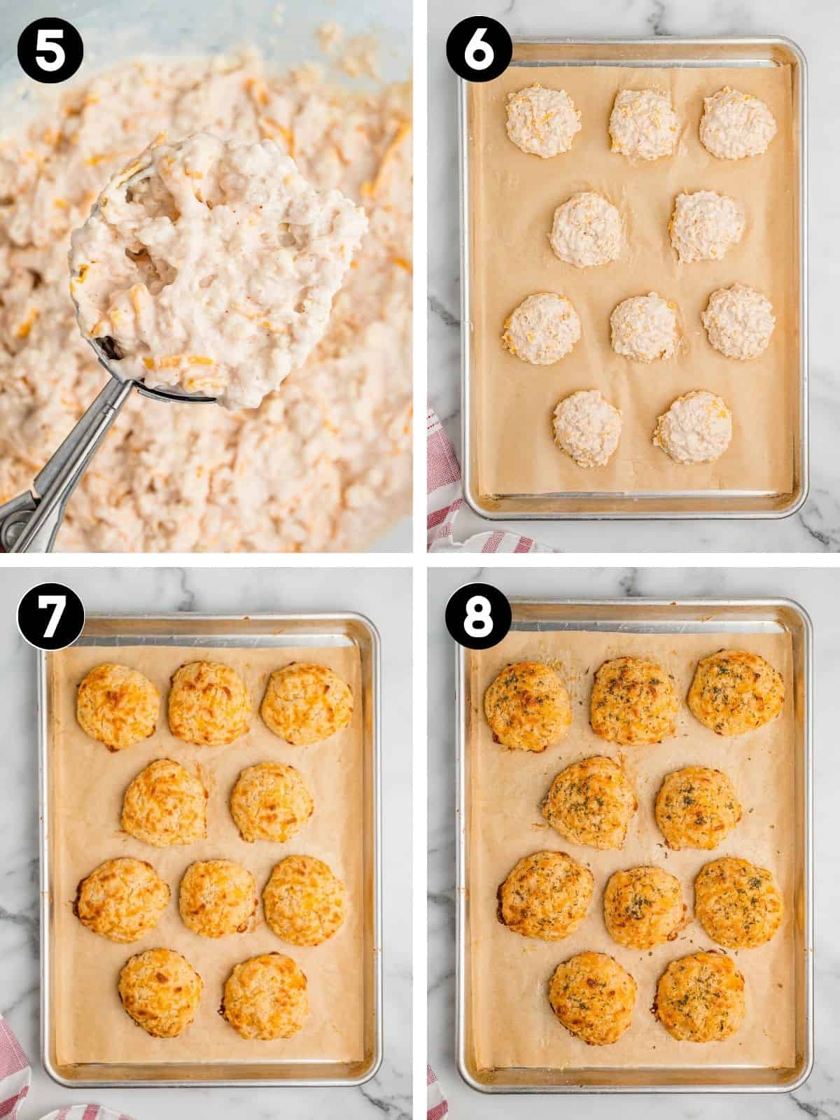 Collage image showing the final steps of making cheddar drop biscuits. Step 5 shows biscuit dough being scooped with a metal scoop. In step 6, the scoops of dough are placed in evenly spaced mounds on a parchment-lined baking sheet. Step 7 shows the biscuits freshly baked and golden brown. In step 8, the baked biscuits are brushed with melted butter and herbs.