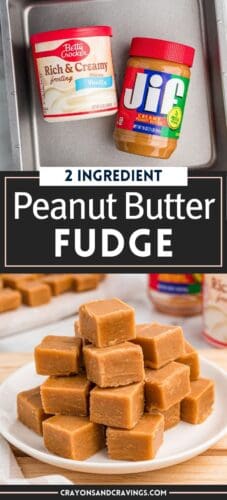 Looking for an easy fudge recipe? This 2-ingredient peanut butter fudge made with creamy peanut butter and frosting is as easy as it gets. Just melt and stir—perfect for beginners or last-minute sweet treats.