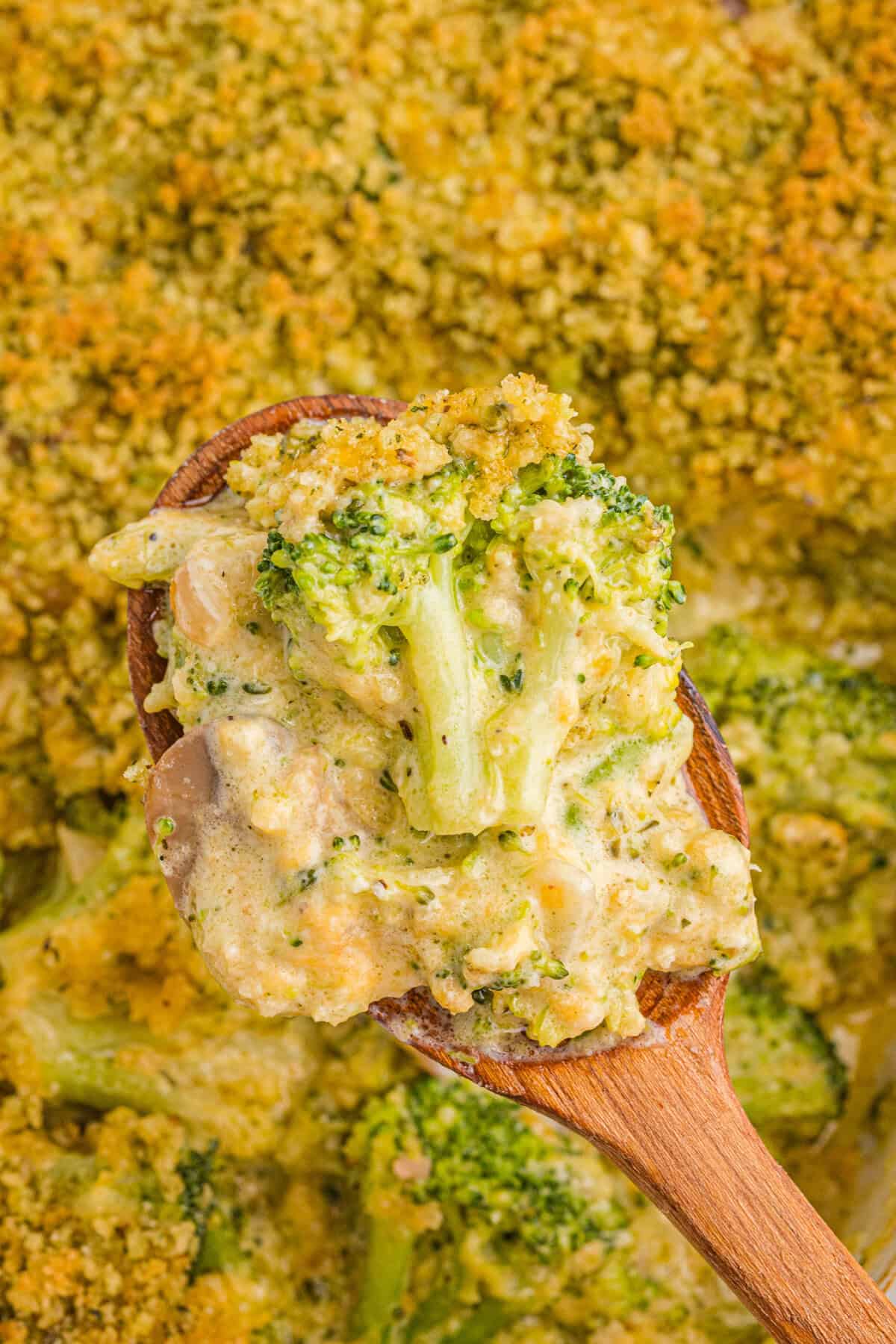 Close-up of a wooden spoon lifting a portion of broccoli casserole, showing creamy broccoli florets with mushrooms and a crispy golden panko breadcrumb topping.