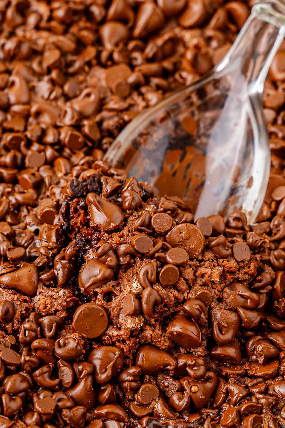 A close-up view of a spoon scooping into freshly baked chocolate dump cake. The surface is densely covered with melted semi-sweet chocolate chips, and the cake appears soft and gooey underneath.