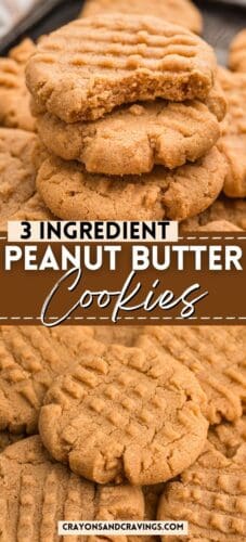 Collage pin showing close-ups of crisscross-patterned peanut butter cookies. Text reads “3 Ingredient Peanut Butter Cookies.”