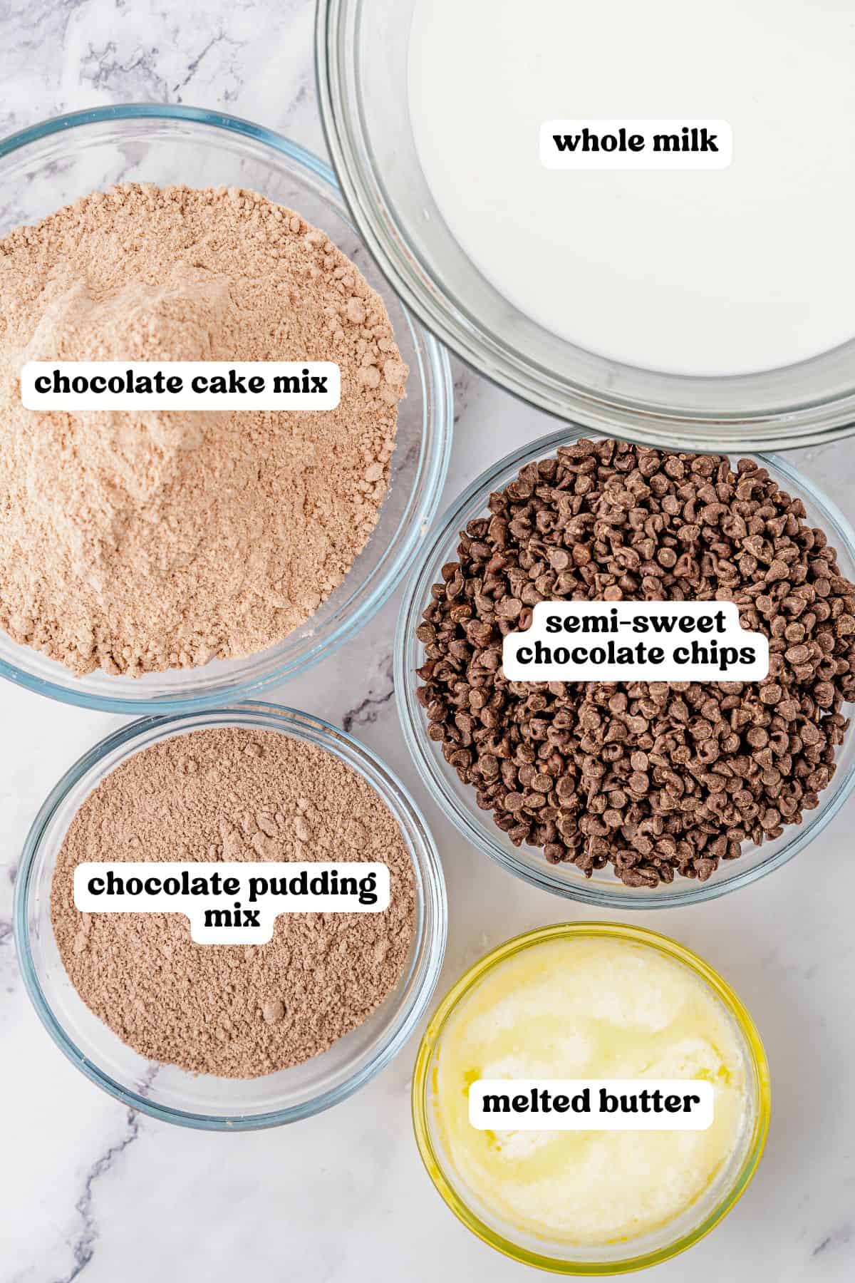 Ingredients for chocolate dump cake in 5 clear glass bowls, each labeled with its contents: whole milk, chocolate cake mix, semi-sweet chocolate chips, chocolate pudding mix, and melted butter.