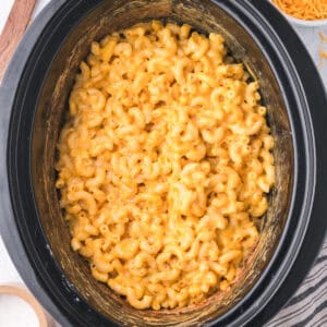 Creamy macaroni and cheese in a slow cooker.