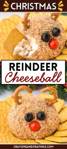 Collage pin showing a festive reindeer-shaped cheese ball made with chopped nuts, black olive eyes, cherry tomato nose, and pretzel antlers. One photo shows the cheese ball with a cracker dipping into it. Text reads "Christmas" and "Reindeer Cheeseball." Bottom text reads "crayonsandcravings.com."