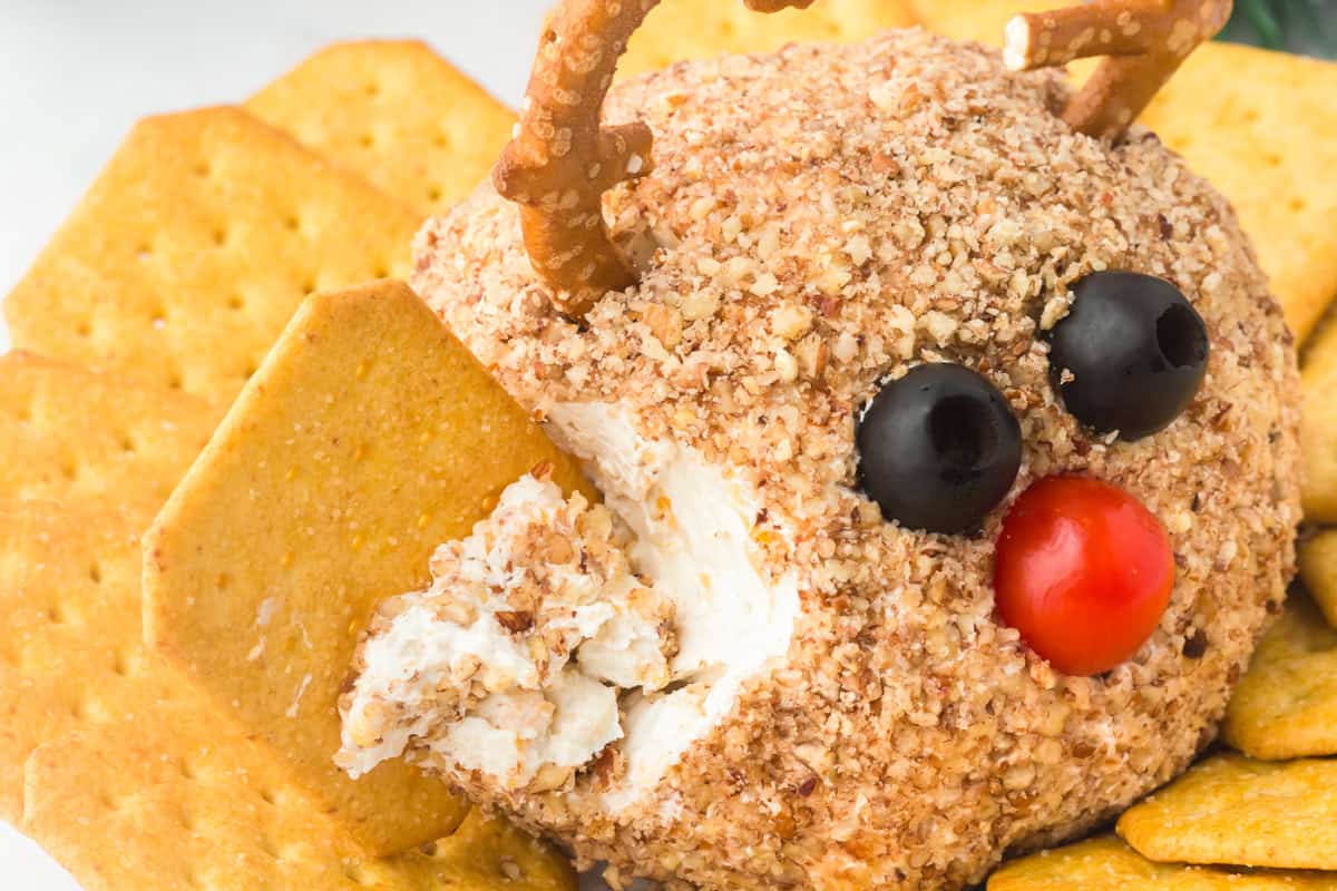 Close-up of a reindeer-shaped cheese ball coated in chopped nuts with a red cherry tomato for a nose, black olives for eyes, and pretzel antlers. A cracker is scooping into the side, revealing the creamy cheese inside.