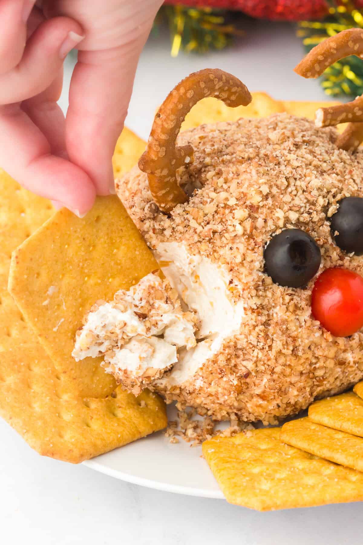 and dipping a cracker into a reindeer cheese ball, which is covered in crushed nuts. The cheese ball has pretzel antlers, black olive eyes, and a red cherry tomato nose, arranged on a plate surrounded by crackers.
