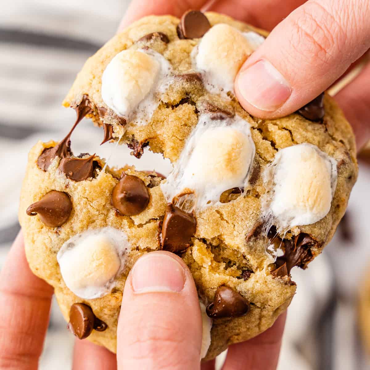 A s'mores cookie being pulled apart, revealing gooey marshmallow inside.