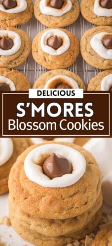 Collage pin showing s'mores blossom cookies on a cooling rack in the top image and a stack of cookies in the bottom image. Each cookie is topped with a toasted marshmallow and Hershey kiss in the center. Text reads "Delicious S'mores Blossom Cookies."