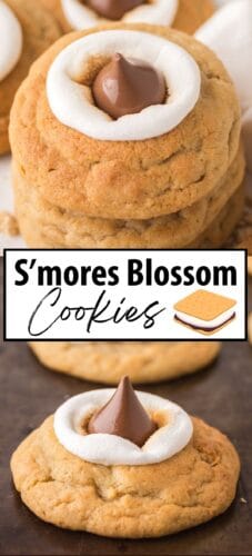 Collage pin with close-up of s'mores cookies topped with marshmallows and hershey's kisses. Text reads "S'mores Blossom Cookies".