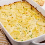 Creamy scalloped potatoes in a white baking dish.