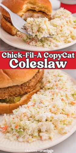 A close-up of a fork lifting a scoop of homemade coleslaw next to a crispy chicken sandwich, highlighting the fresh, crunchy texture of the coleslaw.