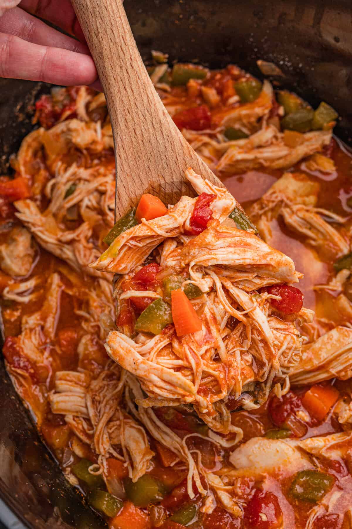 Spoonful of chicken paprika over slow cooker.