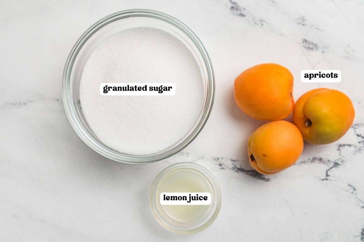 Ingredients for apricot jam labeled on a marble counter: granulated sugar, fresh apricots, and lemon juice.